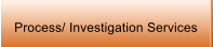 Process/ Investigation Services