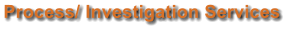 Process/ Investigation Services